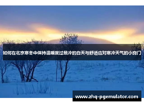 如何在北京寒冬中保持温暖度过最冷的白天与舒适应对寒冷天气的小窍门