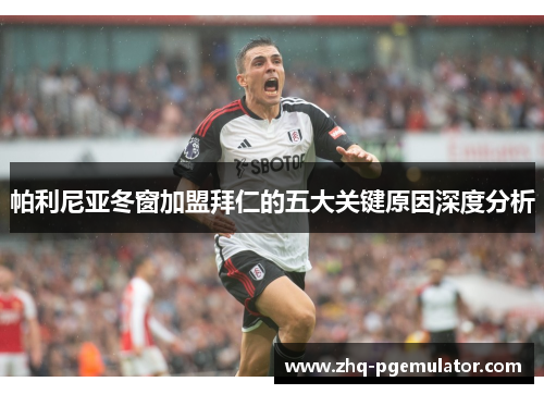 帕利尼亚冬窗加盟拜仁的五大关键原因深度分析 帕利尼亚冬窗加盟拜仁的五大关键原因深度分析