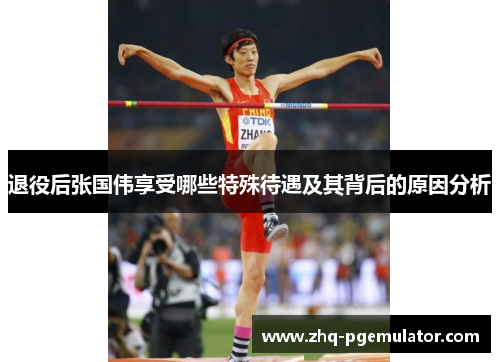 退役后张国伟享受哪些特殊待遇及其背后的原因分析