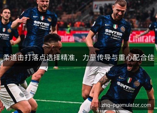 柔道击打落点选择精准，力量传导与重心配合佳