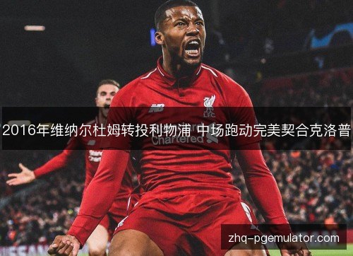 2016年维纳尔杜姆转投利物浦 中场跑动完美契合克洛普 2016年维纳尔杜姆转投利物浦 中场跑动完美契合克洛普